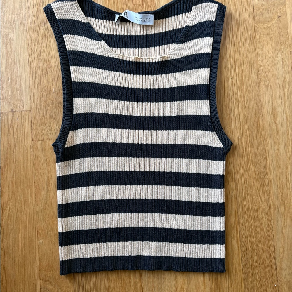 Zara Striped Knit Crop Tank Top